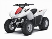 2010 Kawasaki KFX 90 photo